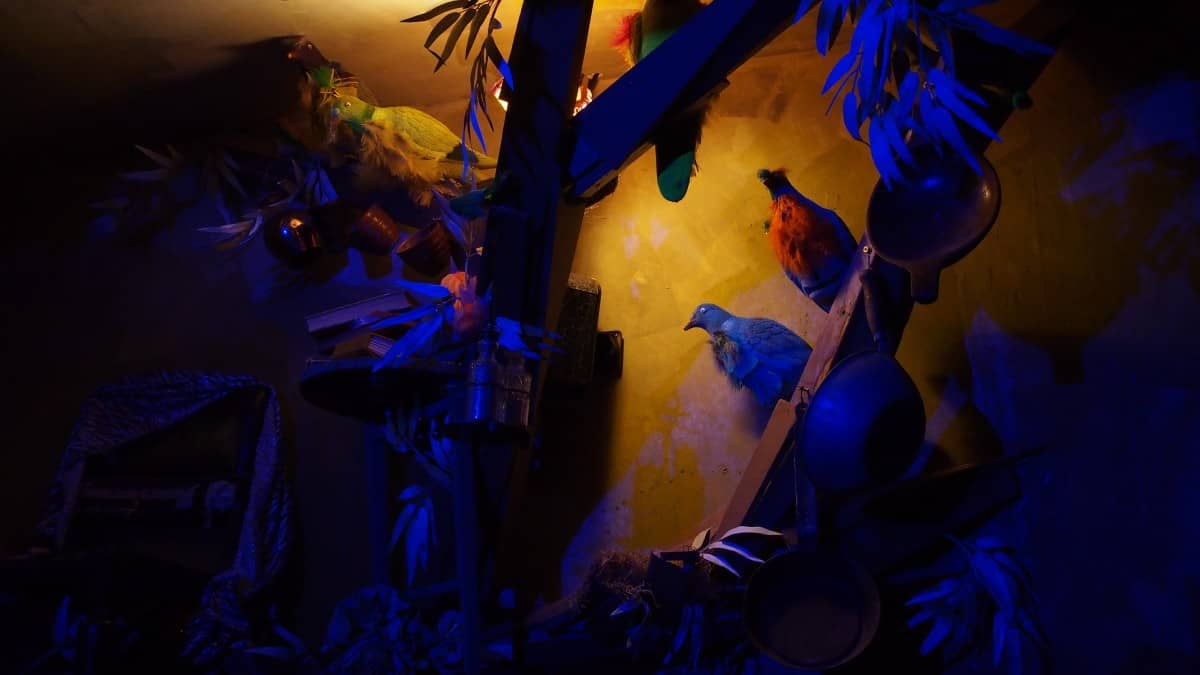 birds-in-trees-dusk-chambers-of-flavour-bailes-and-light